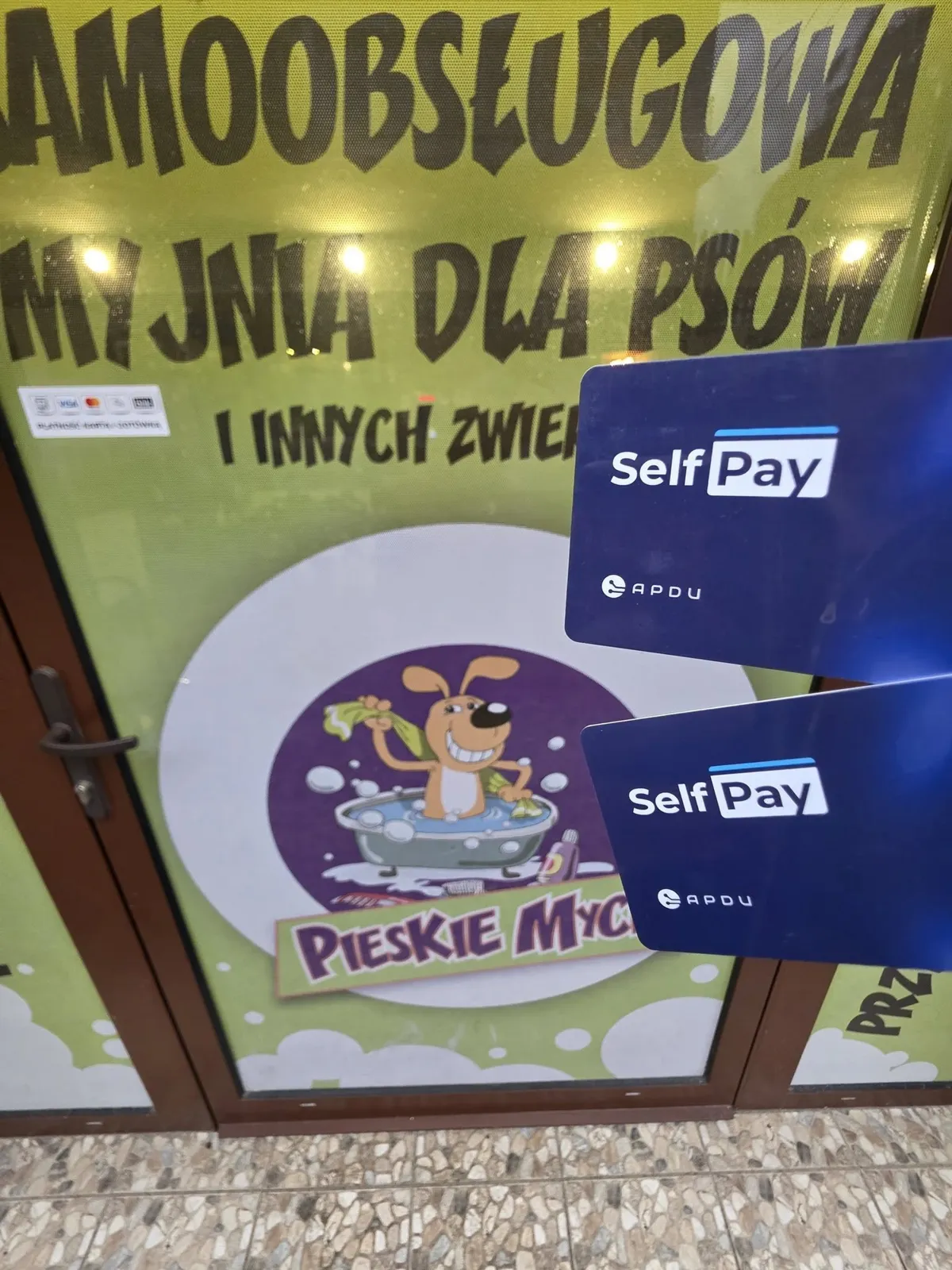 Wnętrze myjni Pieskie Mycie – metalowa wanna ze schodkami i suszarka